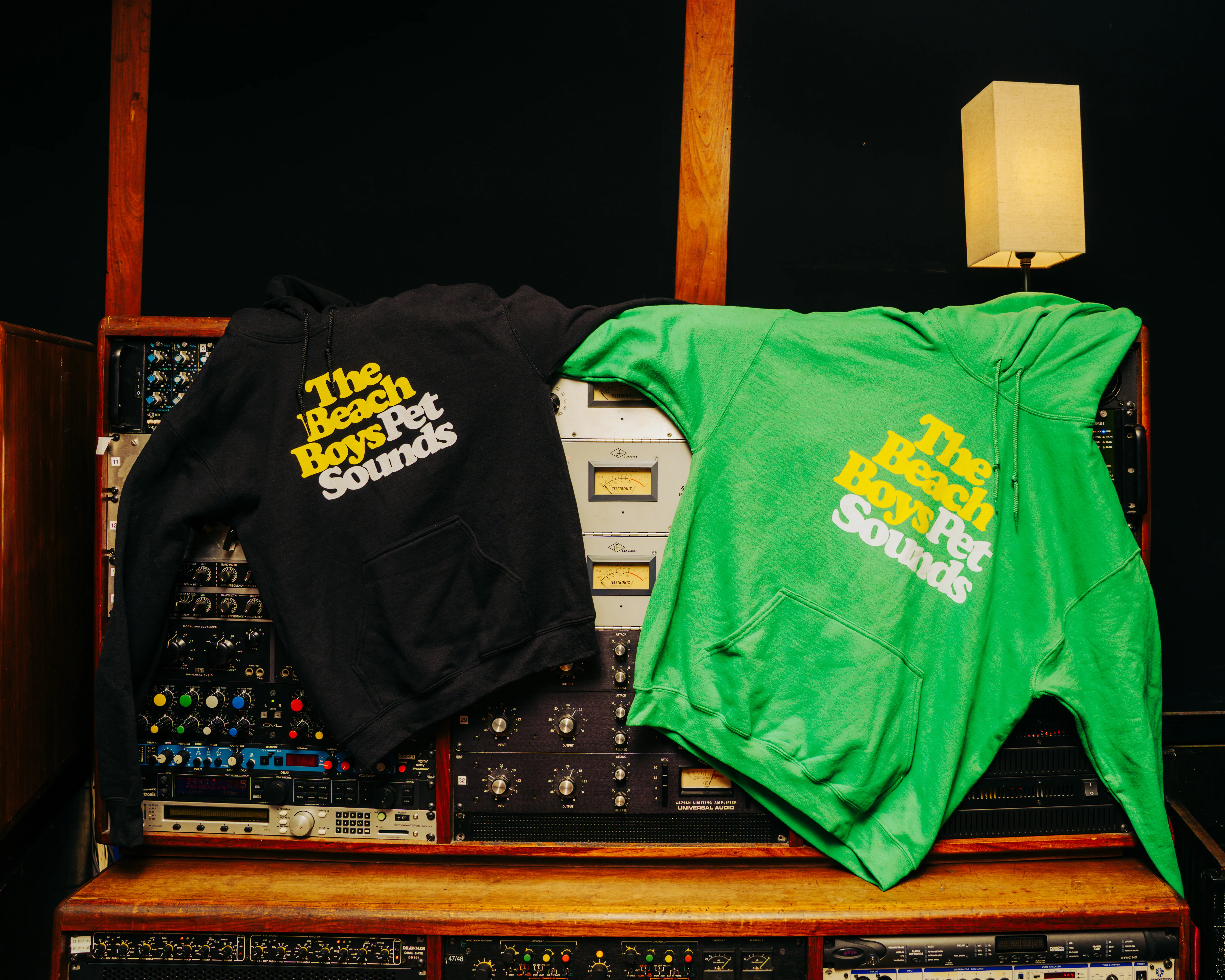 Pet Sounds Logo Green Hoodie - Image 3