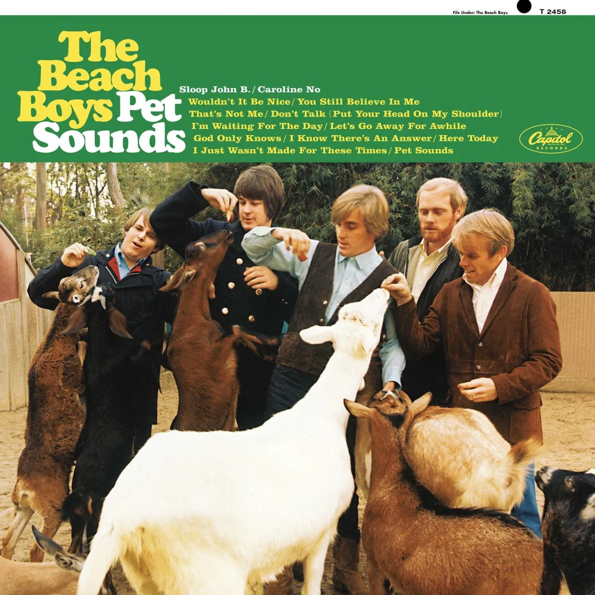Pet Sounds 50th Anniversary Vinyl